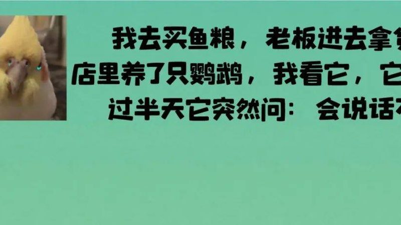 办公室果干蜜饯品牌排名